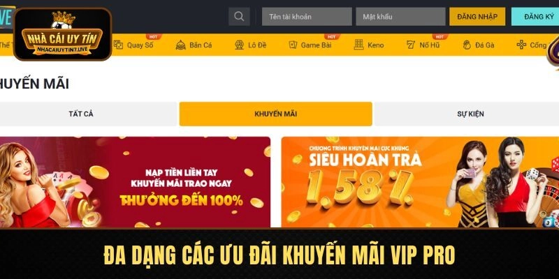 Đa dạng các ưu đãi khuyến mãi vip pro Đa dạng các ưu đãi khuyến mãi vip pro