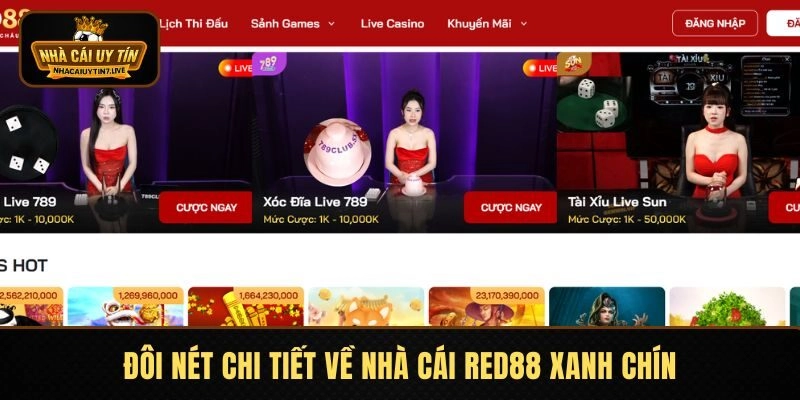 Đôi nét chi tiết về nhà cái RED88 xanh chín Đôi nét chi tiết về nhà cái RED88 xanh chín