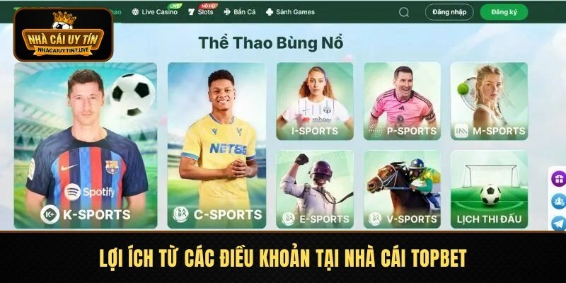 Lợi ích từ các điều khoản tại nhà cái Topbet